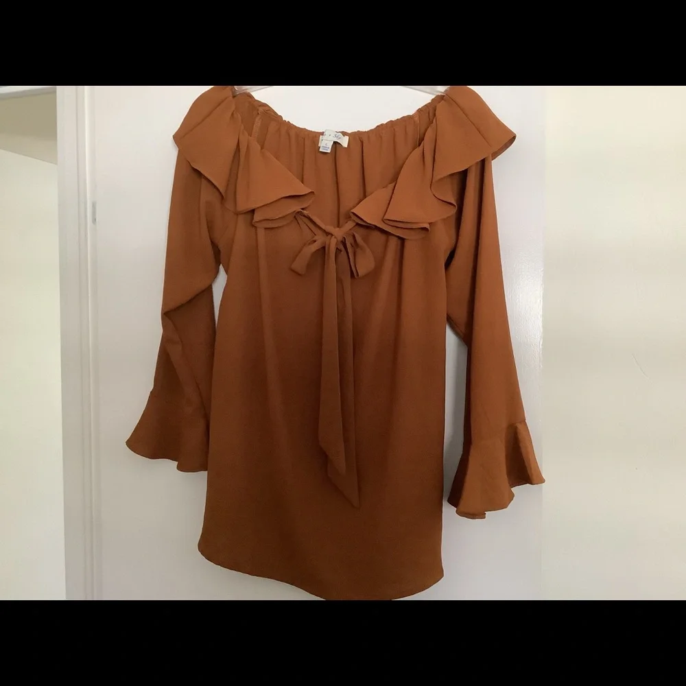 She & Sky rust colored blouse size L - Picture 2 of 10